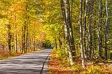 Cove Road In Autumn_29550